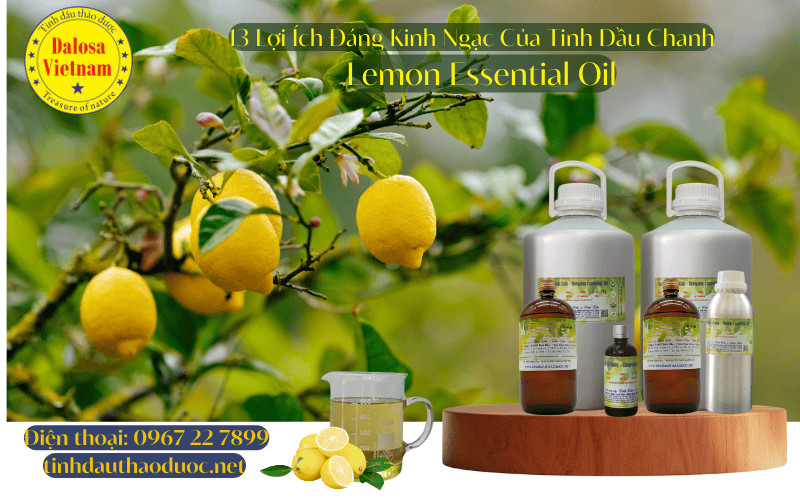 13-loi-ich-cho-suc-khoe-cua-tinh-dau-chanh-lemon-essential-oil