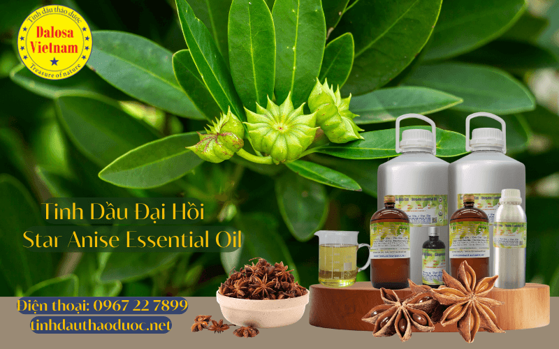 15-loi-ich-suc-khoe-cua-tinh-dau-dai-hoi-star-anise-essential-oil_2