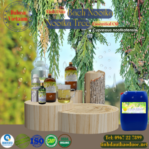 Tinh Dầu Bách Nootka - Nootka Tree Essential Oil 1 Lít