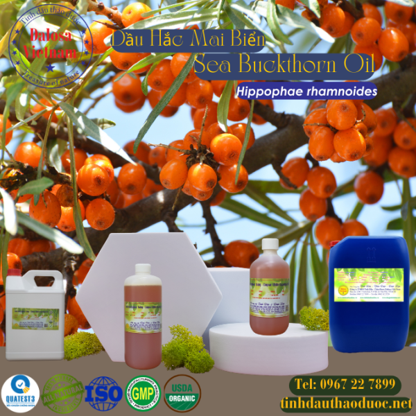 Dầu Hắc Mai Biển - Sea Buckthorn Oil 1 Lít