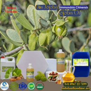 Dầu hạt Jojoba