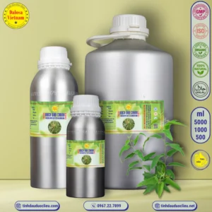 tinh dau bach dan chanh – eucalyptus citriodora essential oil 2