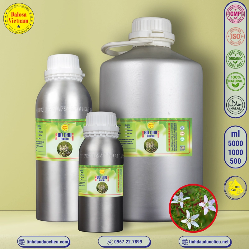 Tinh Dầu Bù Chu - Buchu Essential Oil 2 tinh dau bu chu – buchu essential oil 2