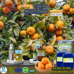 Tinh Dầu Cam Ngọt - Orange Essential Oil 1 lít