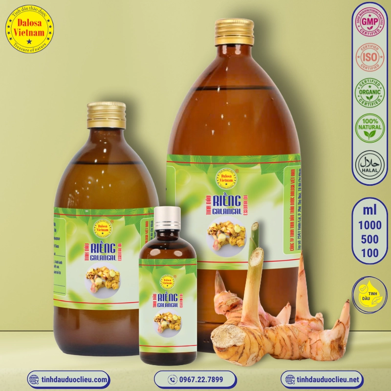 Tinh Dầu Củ Riềng - Galangal Essential Oil 1 tinh dau cu rieng galangal alpinia officinarump essential oil