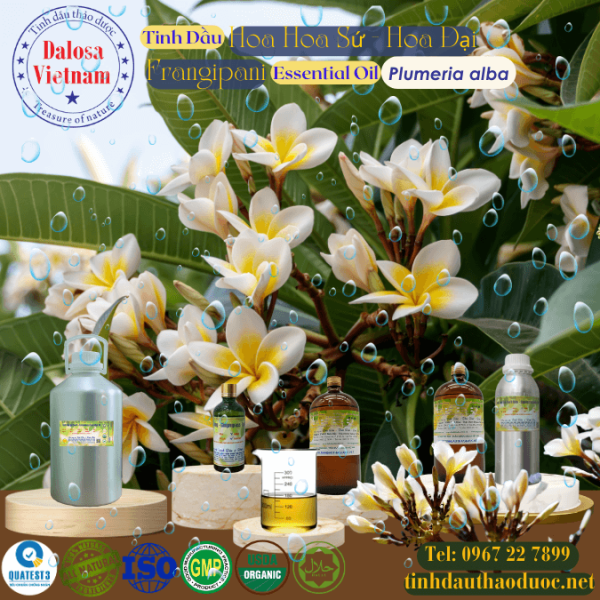 Tinh Dầu Hoa Sứ - Frangipani Essential Oil