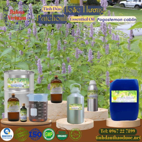 Tinh Dầu Hoắc Hương - Patchouli Essential Oil 1 lít