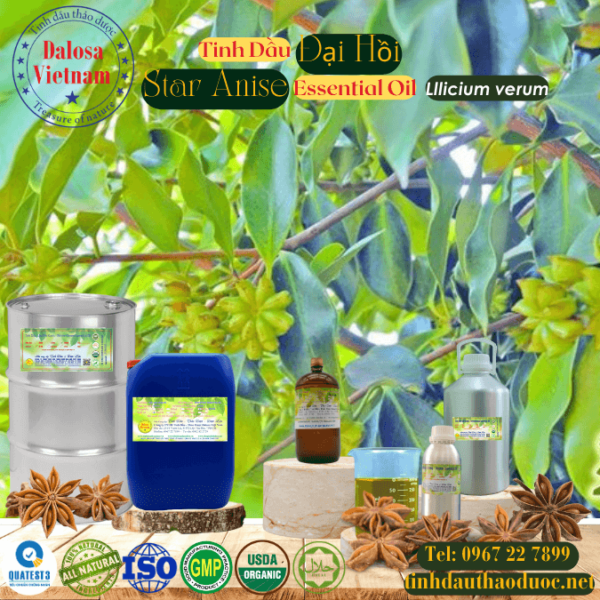 Tinh Dầu Đại Hồi - Star Anise Essential Oil