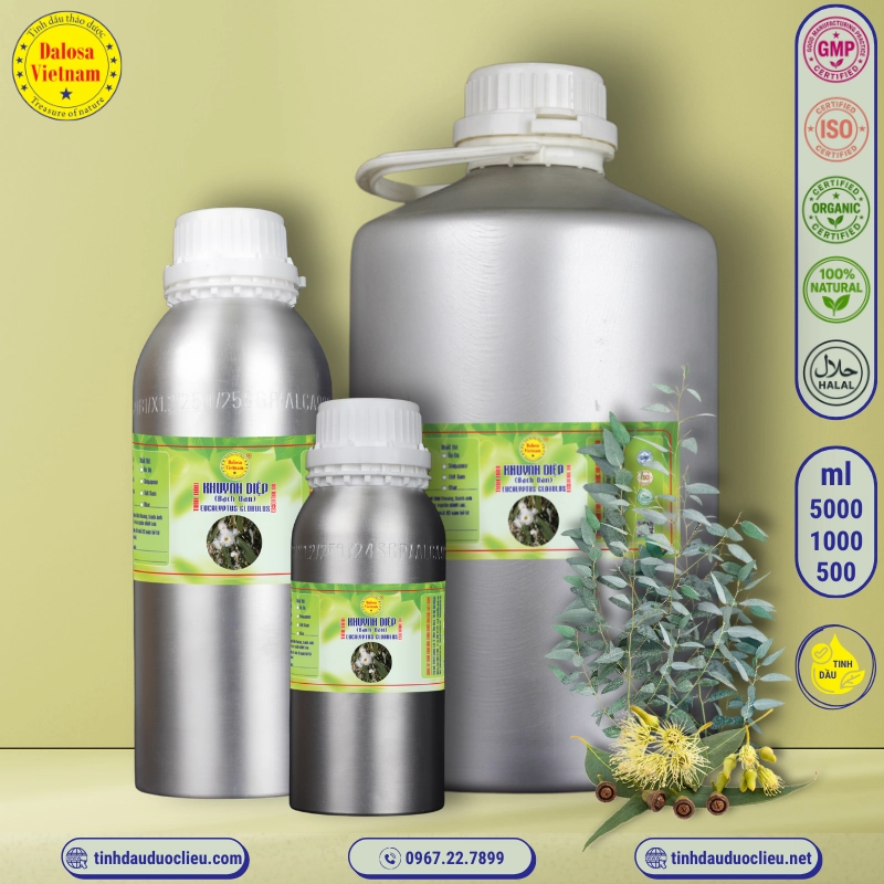 Tinh Dầu Khuynh Diệp - Eucalyptus Globulus Essential Oil 3 tinh dau khuynh diep bach dan eucalyptus globulus eucalyptus globulus essential oil 2