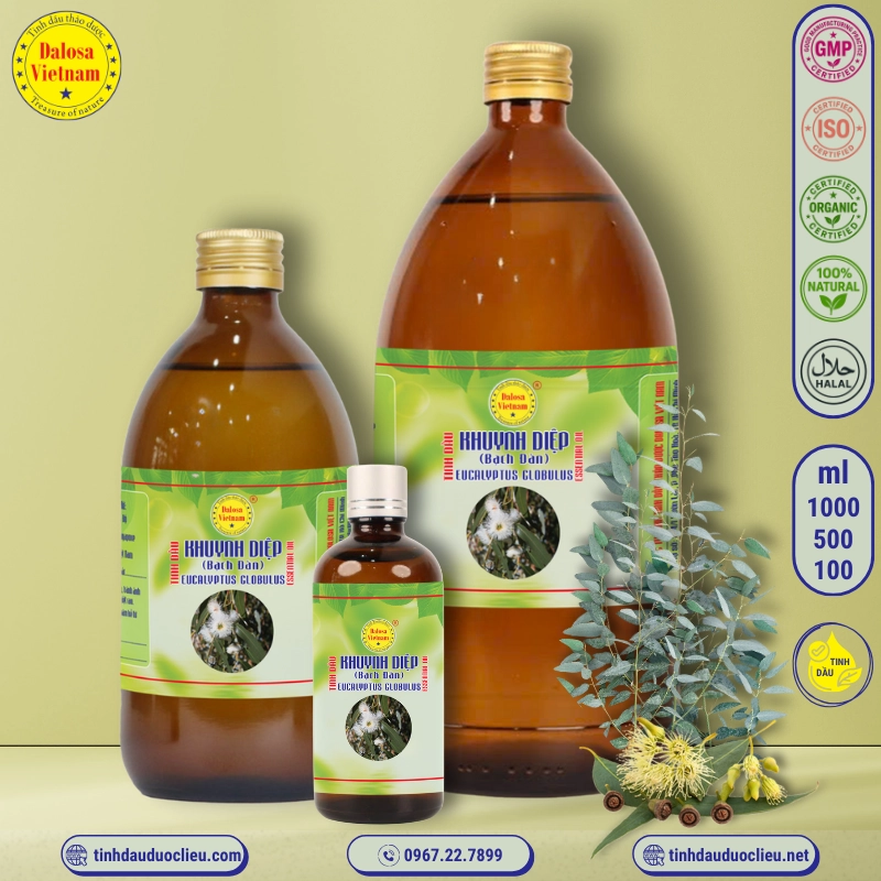 Tinh Dầu Khuynh Diệp - Eucalyptus Globulus Essential Oil 2 tinh dau khuynh diep bach dan eucalyptus globulus eucalyptus globulus essential oil