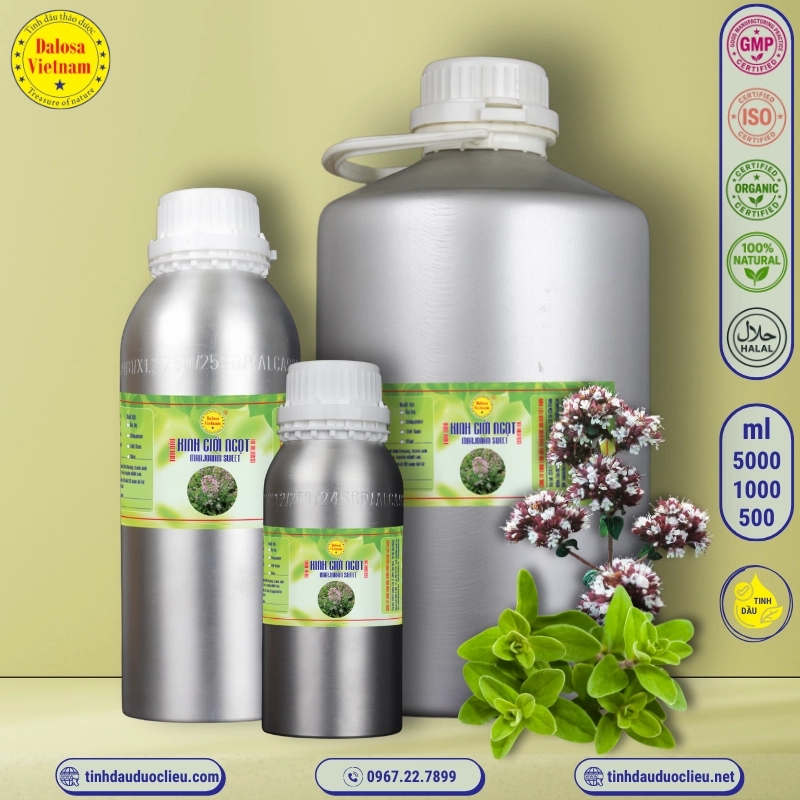Tinh Dầu Kinh Giới Ngọt - Marjoram Sweet Essential Oil 1 tinh dau kinh gioi ngot marjoram sweet origanum majorana essential oil 2