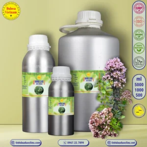 Tinh Dầu Kinh Giới - Oregano Essential Oil 5 tinh dau kinh gioi oregano origanum vulgare essential oil 2