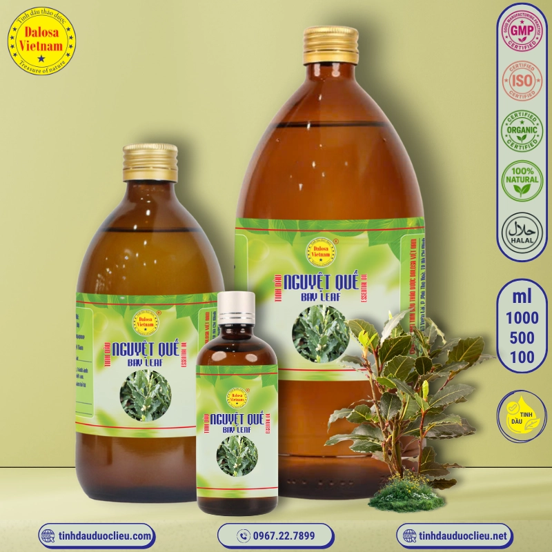 Tinh Dầu Lá Nguyệt Quế - Bay leaf Essential Oil 2 tinh dau la nguyet que bay leaf laurus nobilis essential oil