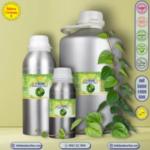 tinh dau la trau khong piper betle leaf piper betel essential oil 2