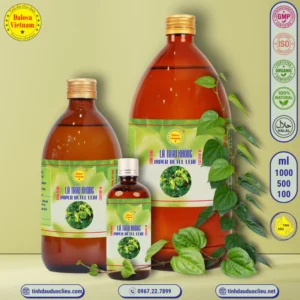 Tinh Dầu Lá Trầu Không - Piper Betle Leaf Essential Oil