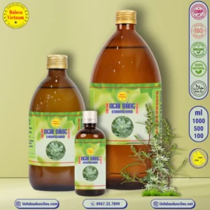 tinh dau ngai dang wormwood artemisia absinthium wormwood grand wormwood absinthe absinthium absinthe wormwood mugwort wermout wermud wormit wormod essential oil