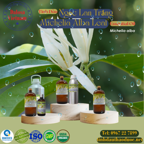 Tinh Dầu Ngọc Lan Trắng - Michelia Alba Leaf Essential Oil 1 Lít