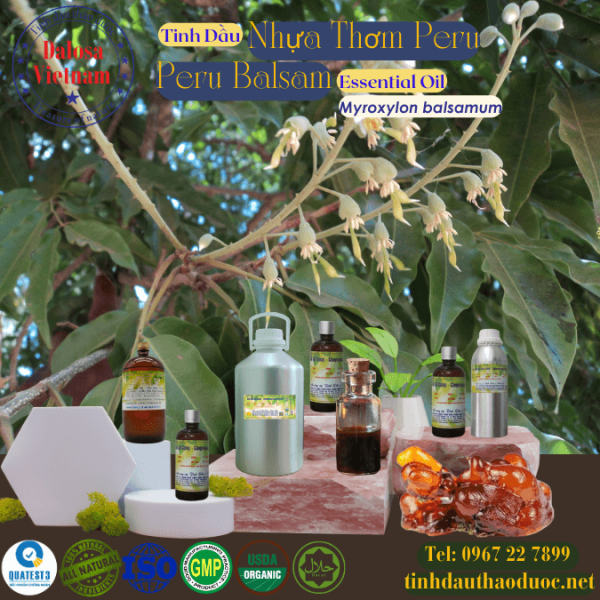 Tinh Dầu Nhựa Thơm Peru - Balsam of Peru Essential Oil 1 Lít