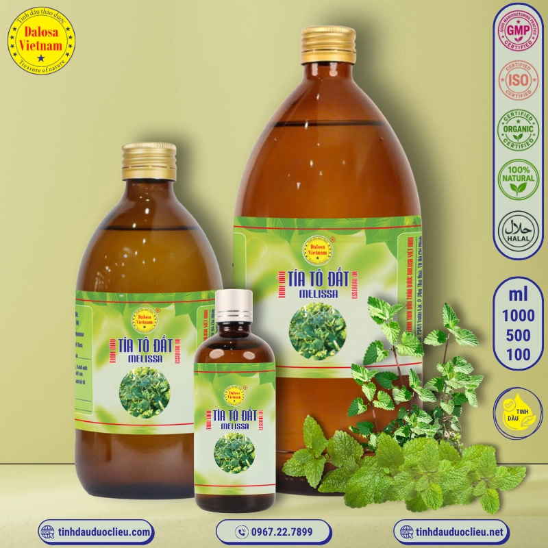 Tinh Dầu Tía Tô Đất - Melissa Essential Oil 2 tinh dau tia to dat tia to chanh melissa lemon balm balm mint melissa officinalis essential oil