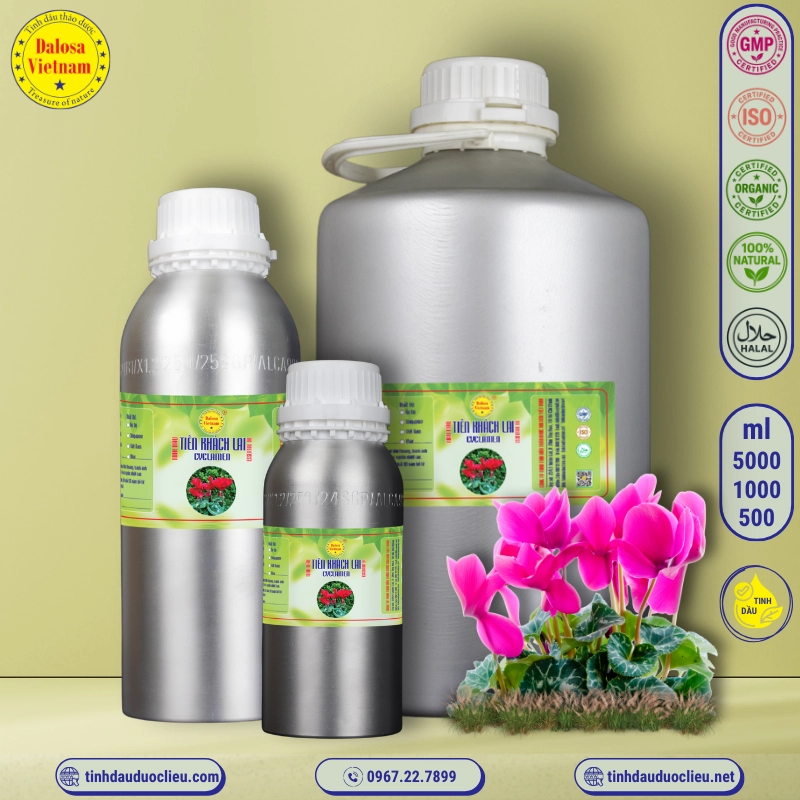 Tinh Dầu Tiên Khách Lai - Cyclamen Essential Oil 1 tinh dau tien khach lai cyclamen cyclamen persicum essential oil 2