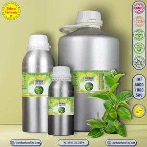 tinh dau tra xanh green tea camellia sinensis essential oil 2