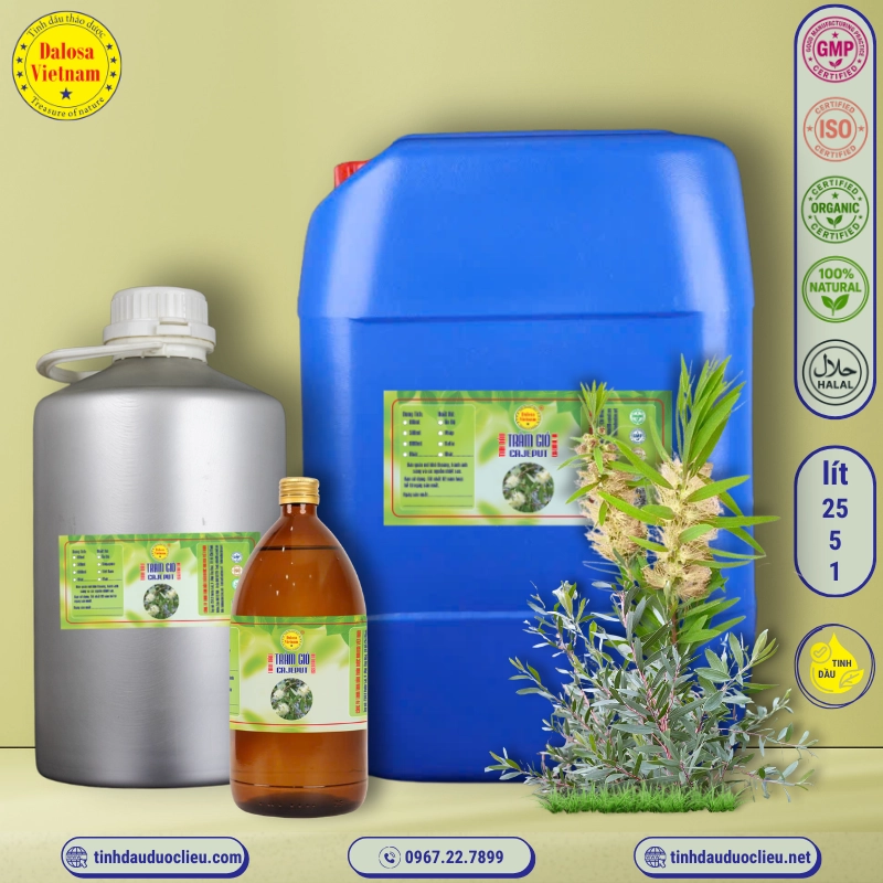 Tinh Dầu Tràm Gió - Cajeput Essential Oil 1 tinh dau tram gio cajeput oleum cajeputi essential oil 3