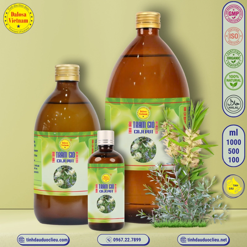Tinh Dầu Tràm Gió - Cajeput Essential Oil 2 tinh dau tram gio cajeput oleum cajeputi essential oil
