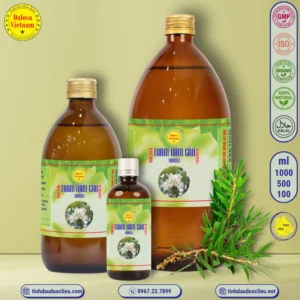 tinh dau tram nam gan niaouli maleleuca quinquenervia essential oil