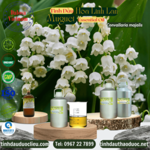 Tinh Dầu Hoa Linh Lan - Muguet Essential Oil