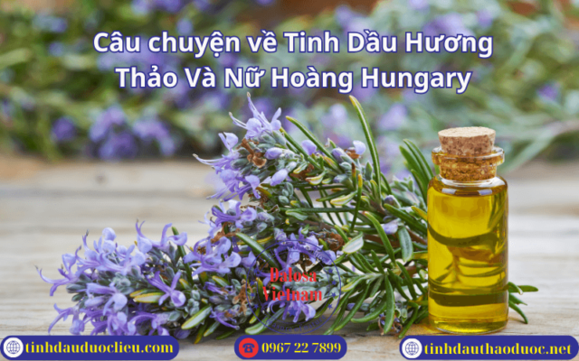 Câu chuyện về Tinh Dầu Hương Thảo Và Nữ Hoàng Hungary