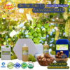 Dầu Hạt Mắc Ca - Macadamia Nut Oil