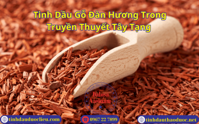 Tinh Dầu Gỗ Đàn Hương Trong Truyền Thuyết Tây Tạng